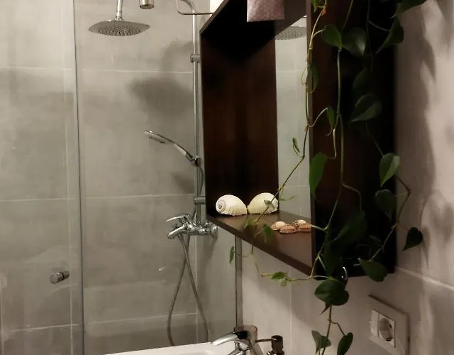 Diti Cozy تيرانا